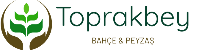 Toprakbey